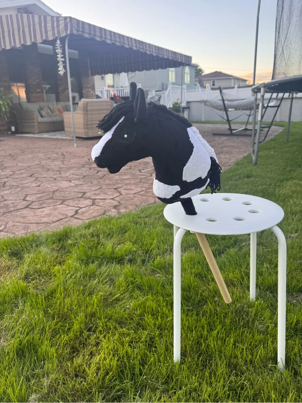 N/A this horse
